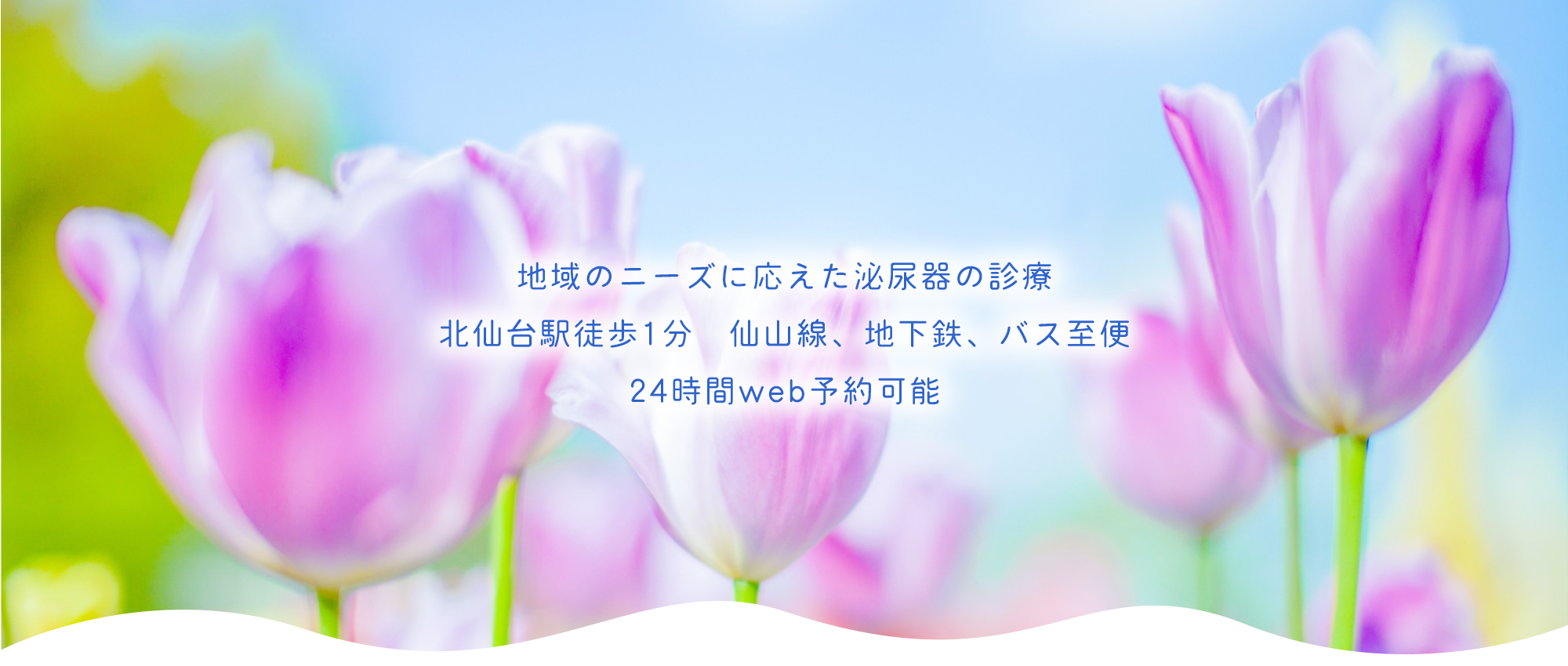 仙台市青葉区昭和町、北仙台駅、泌尿器科・腎臓内科